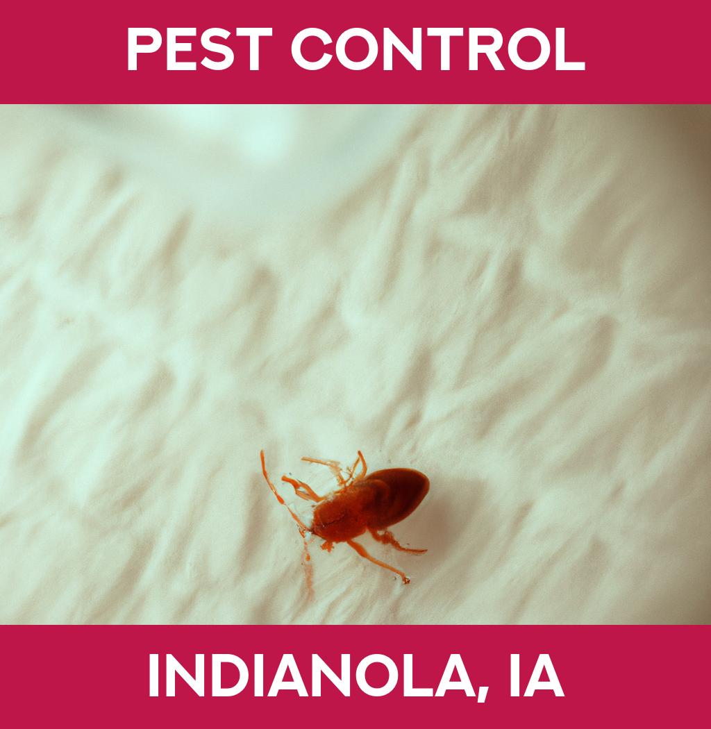 pest control in Indianola Iowa