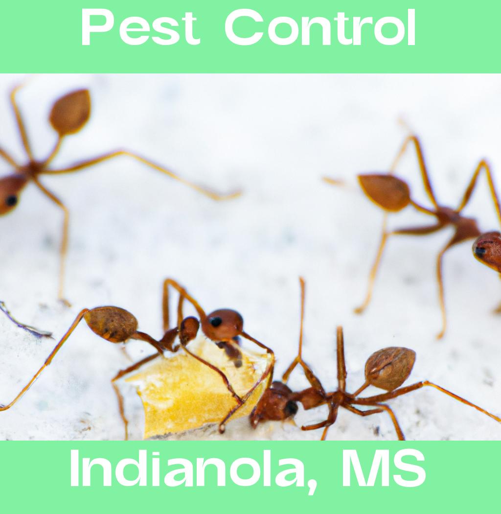 pest control in Indianola Mississippi