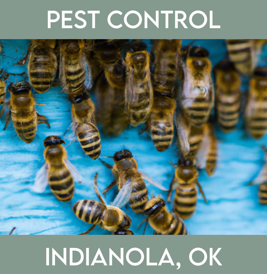 pest control in Indianola Oklahoma
