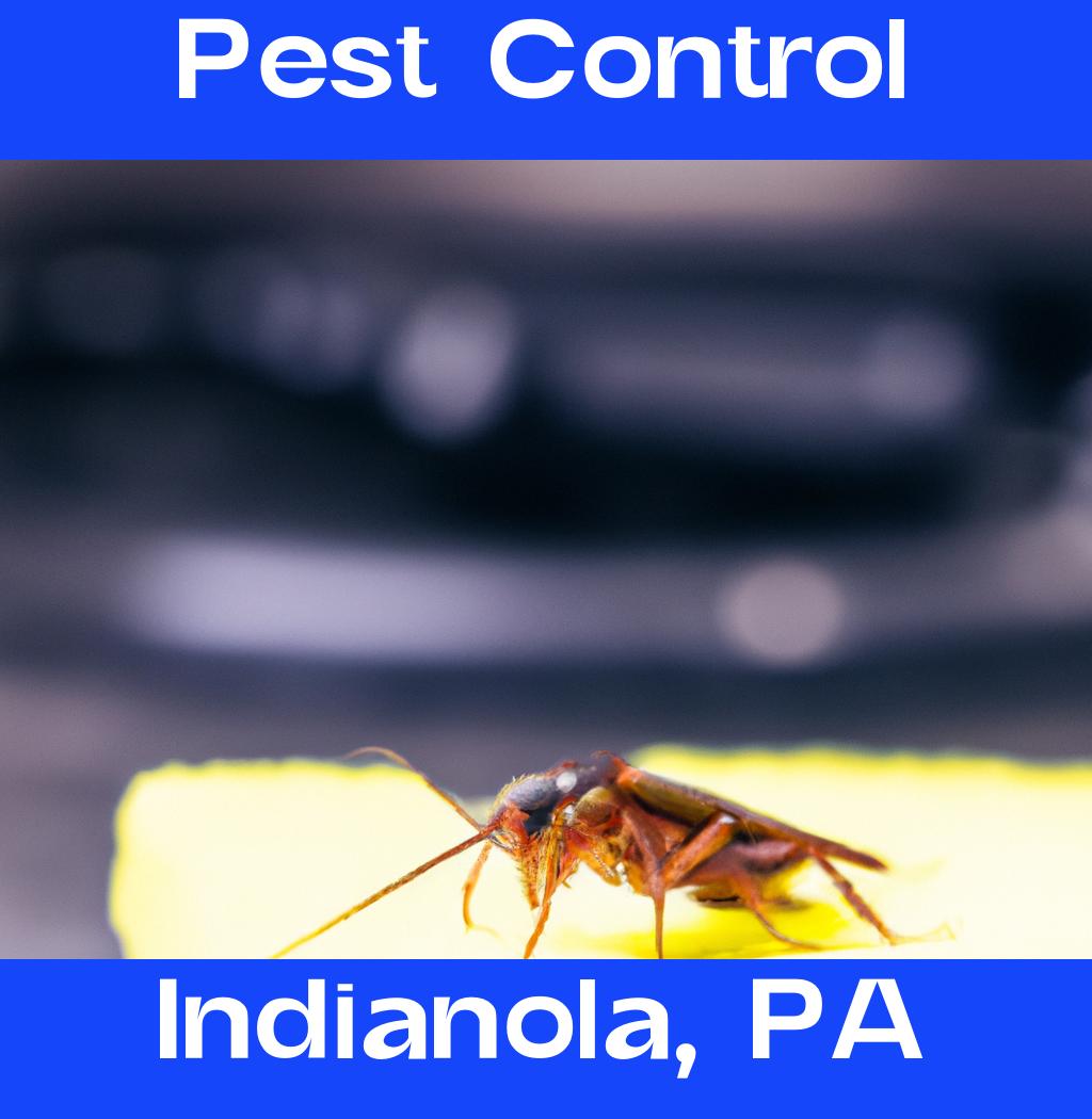 pest control in Indianola Pennsylvania