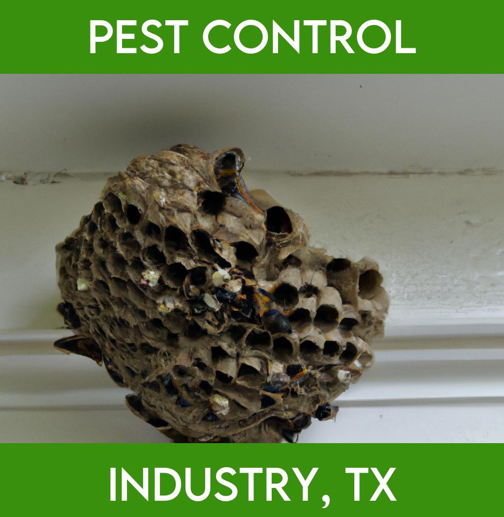 pest control in Industry Texas