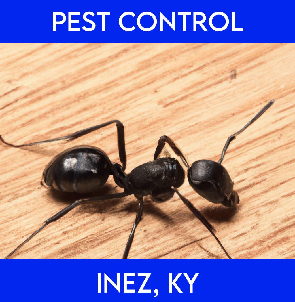 pest control in Inez Kentucky