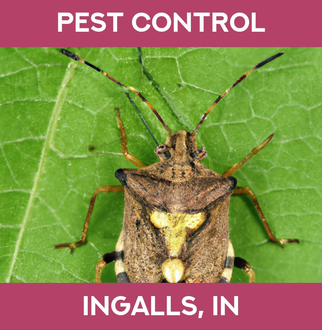 pest control in Ingalls Indiana