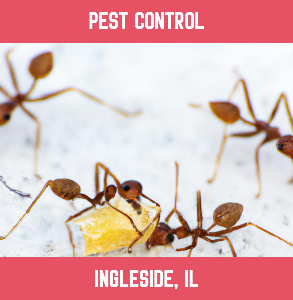 pest control in Ingleside Illinois