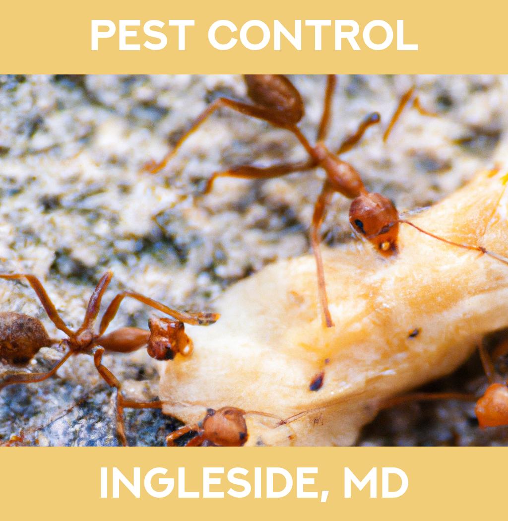 pest control in Ingleside Maryland