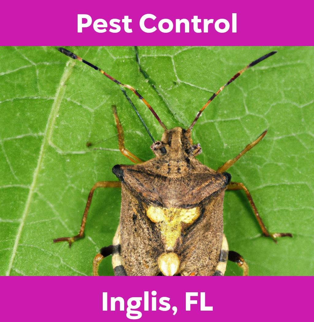 pest control in Inglis Florida