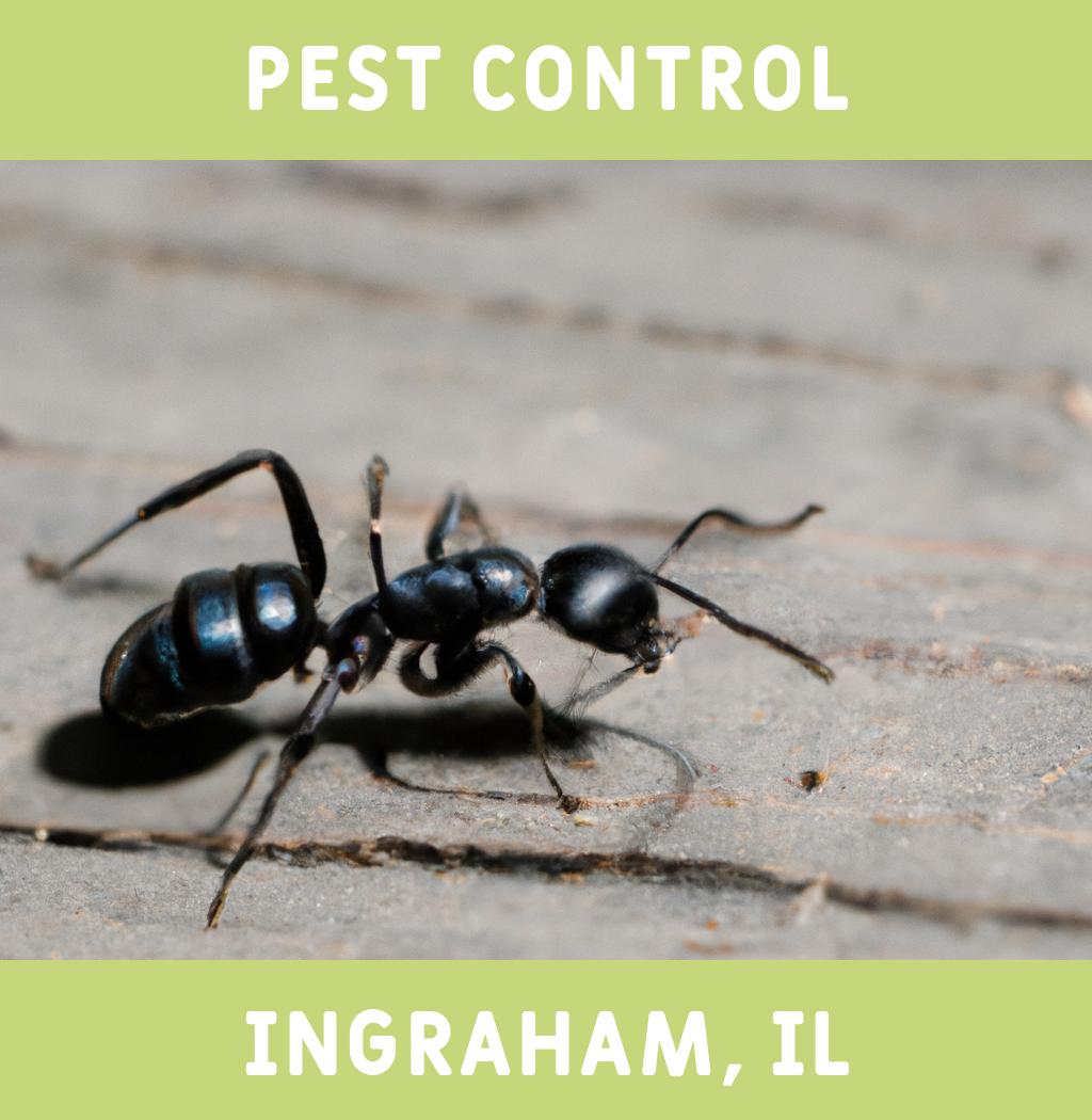 pest control in Ingraham Illinois