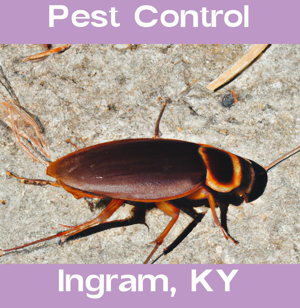 pest control in Ingram Kentucky