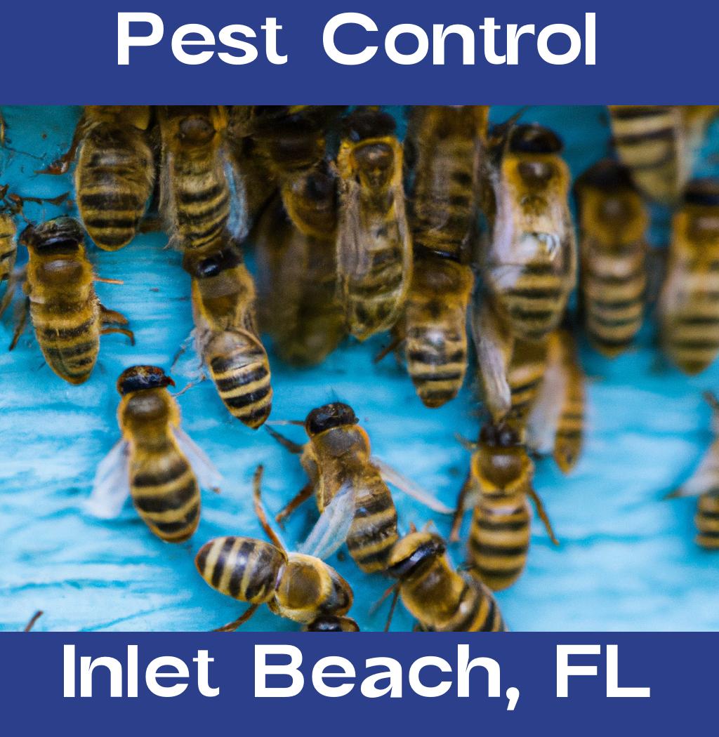 pest control in Inlet Beach Florida