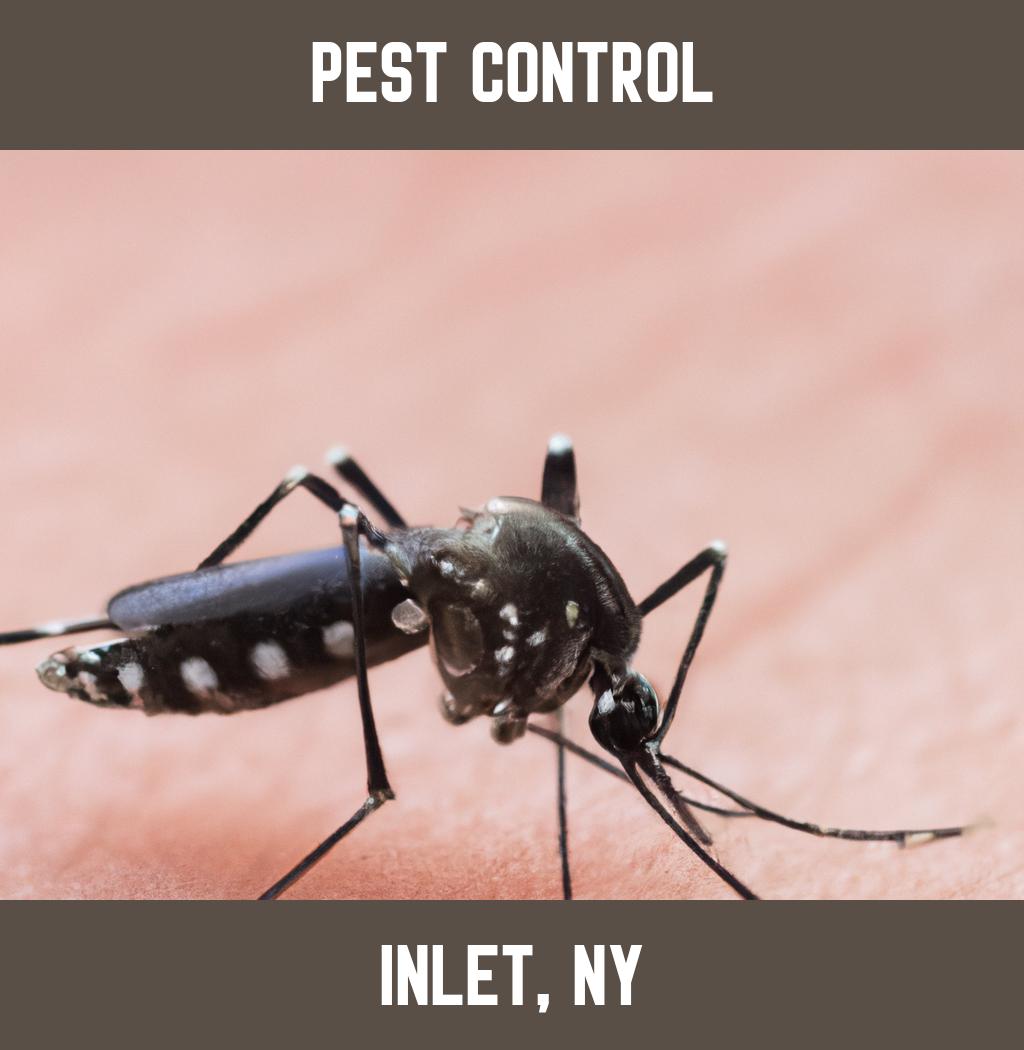 pest control in Inlet New York