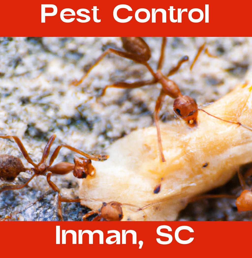 pest control in Inman South Carolina