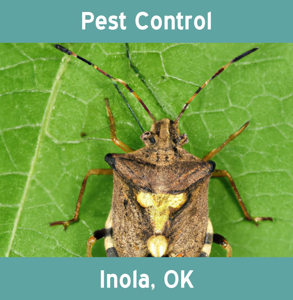 pest control in Inola Oklahoma