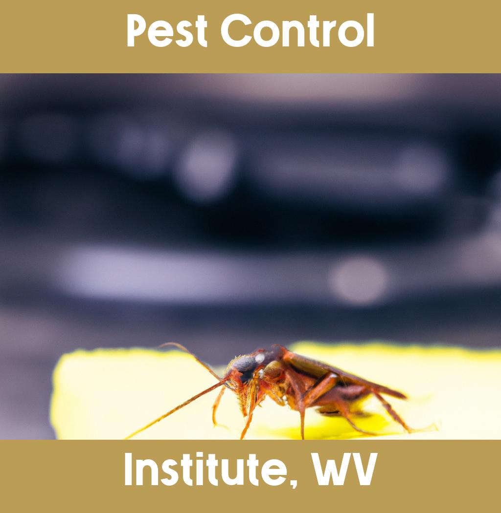 pest control in Institute West Virginia