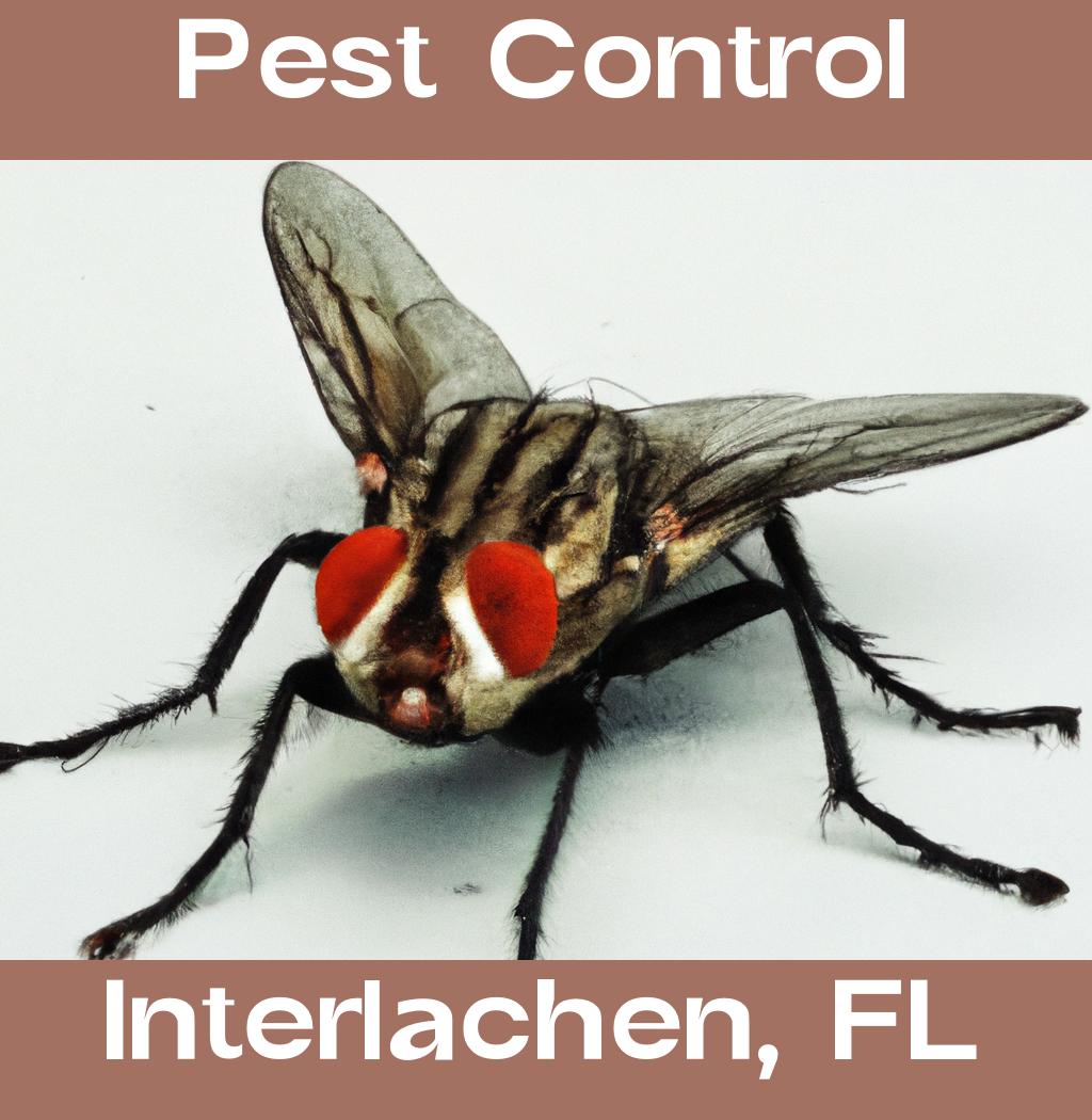 pest control in Interlachen Florida