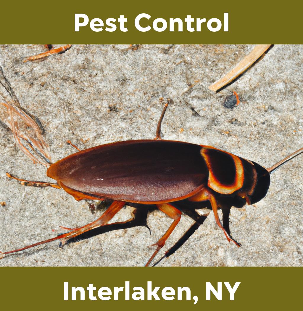 pest control in Interlaken New York