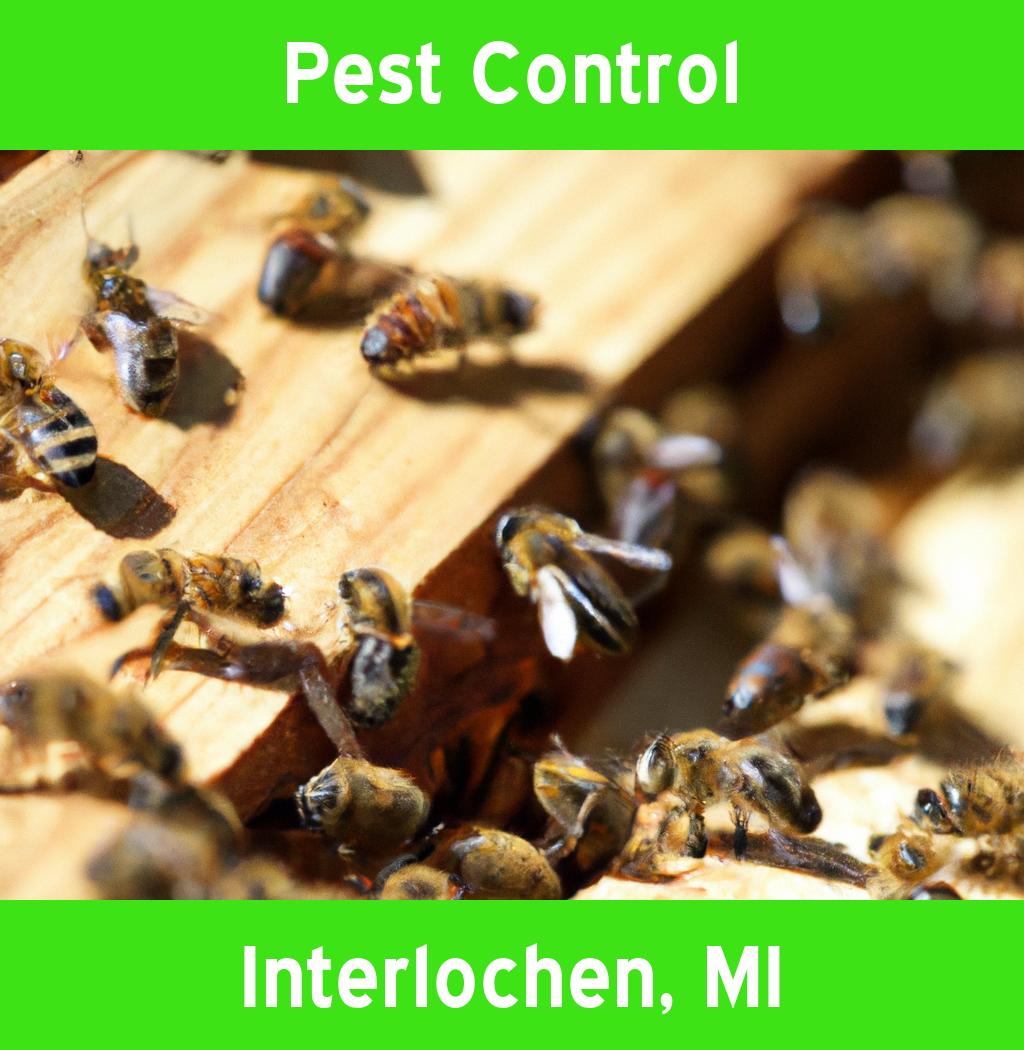 pest control in Interlochen Michigan