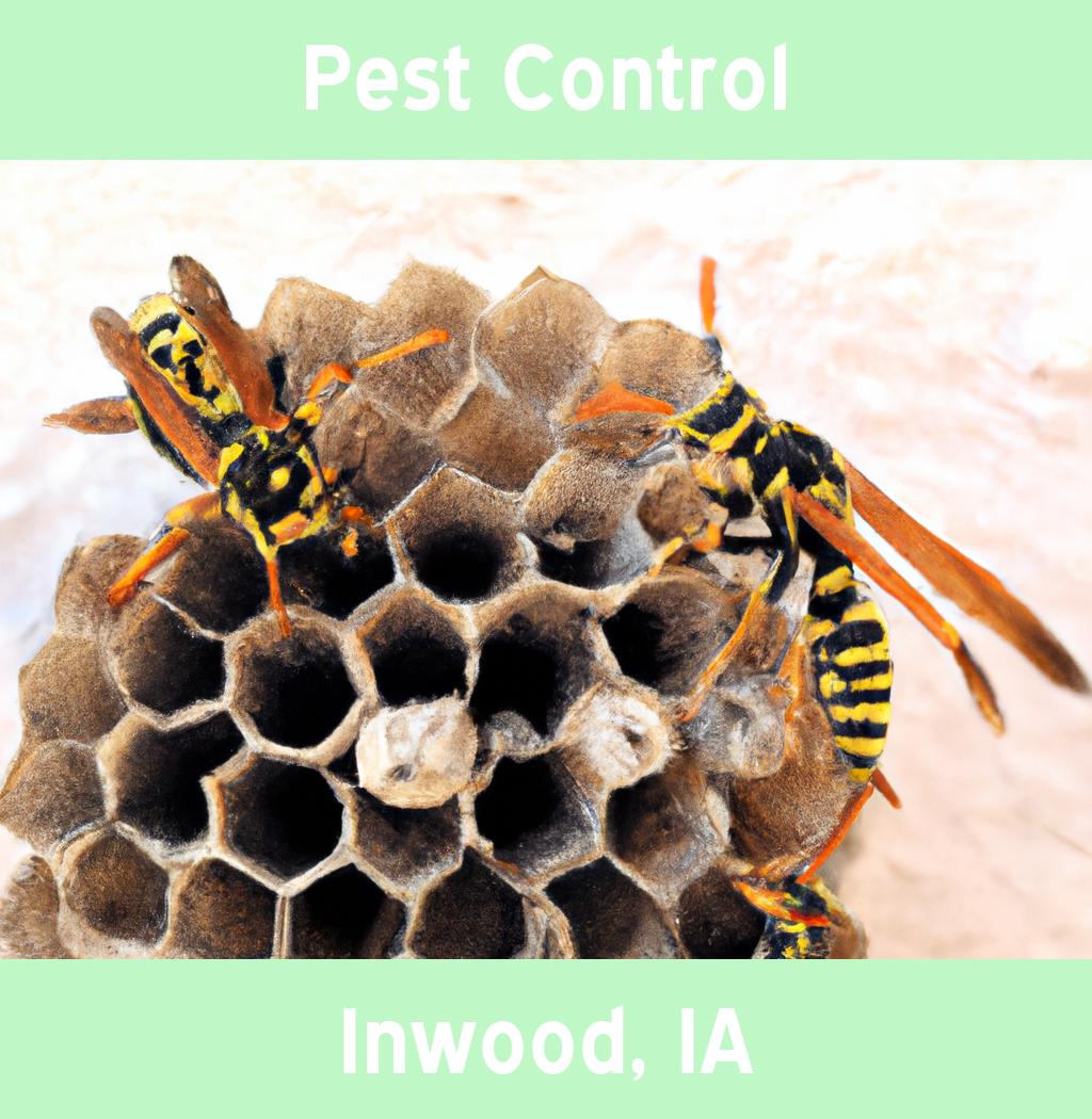 pest control in Inwood Iowa
