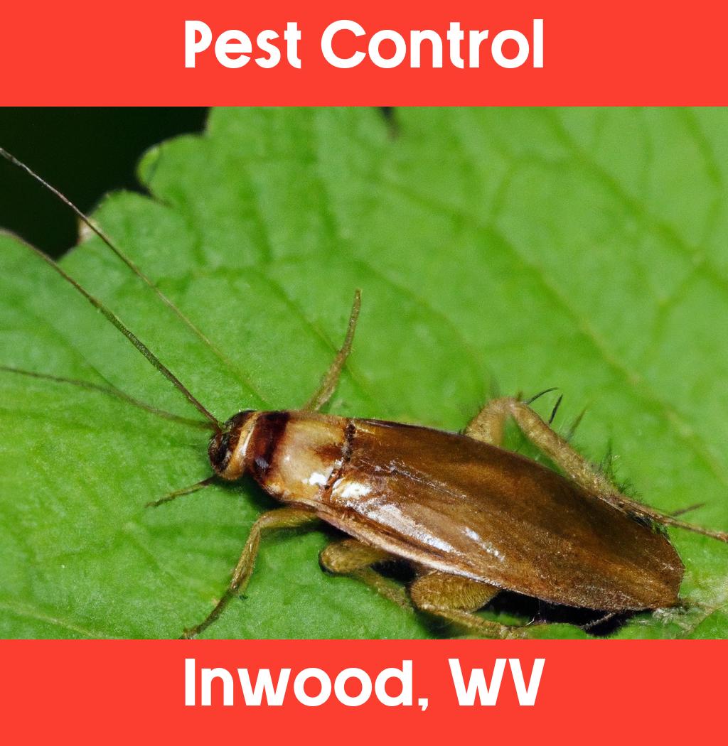 pest control in Inwood West Virginia