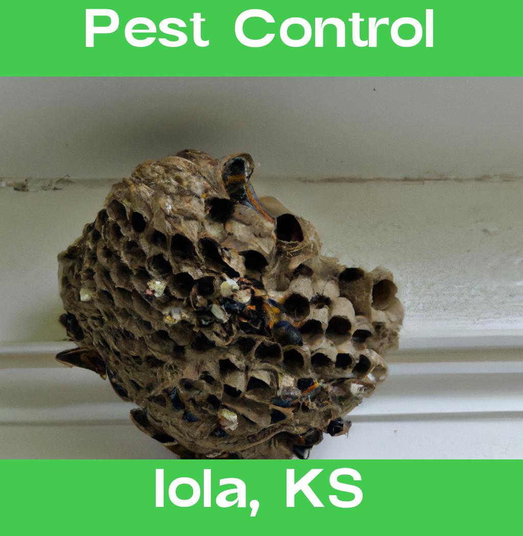 pest control in Iola Kansas
