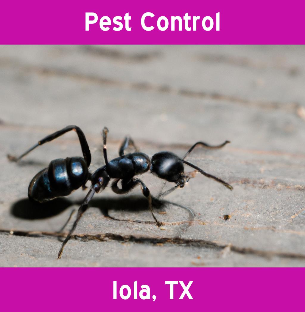 pest control in Iola Texas