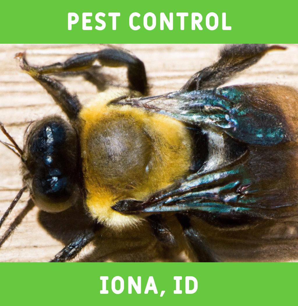 pest control in Iona Idaho