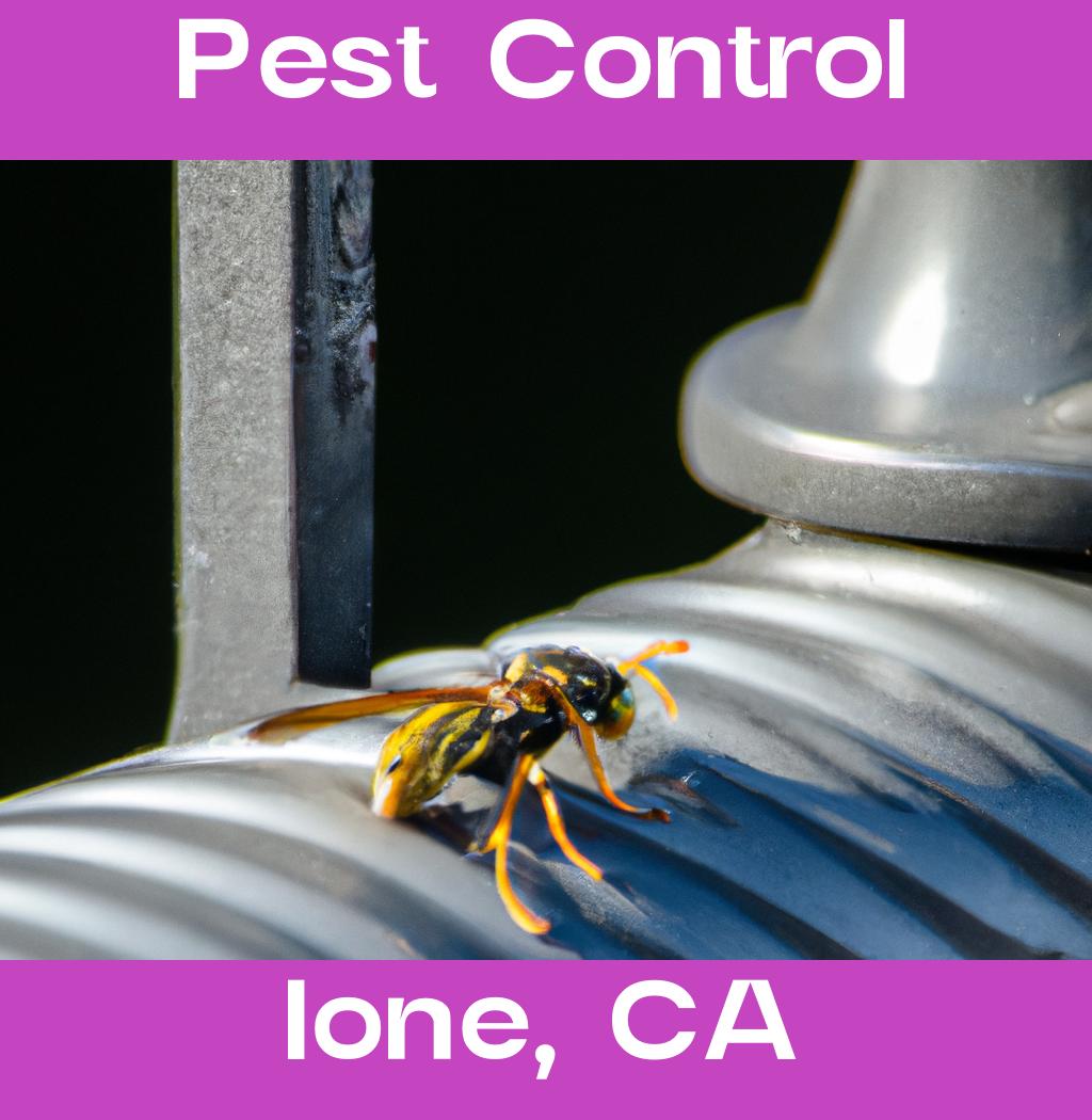 pest control in Ione California