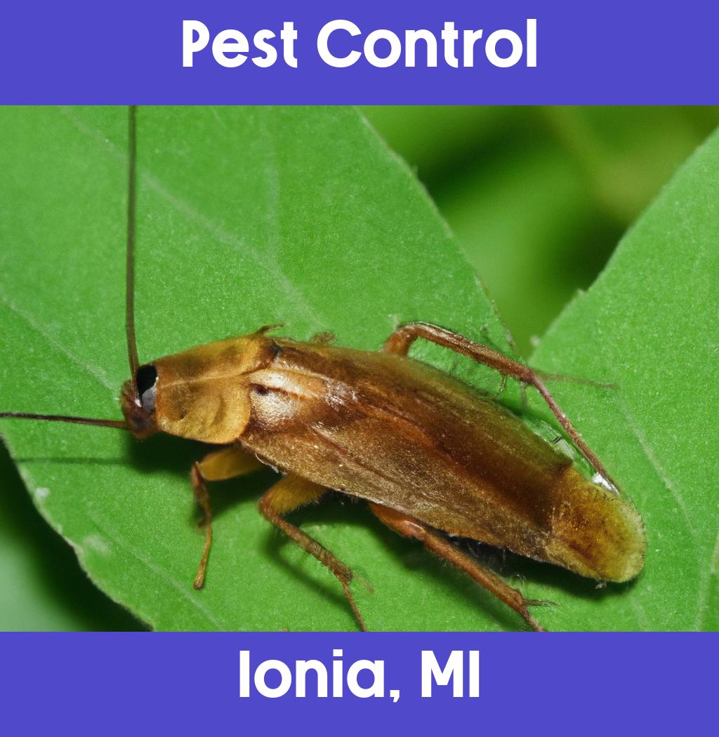 pest control in Ionia Michigan