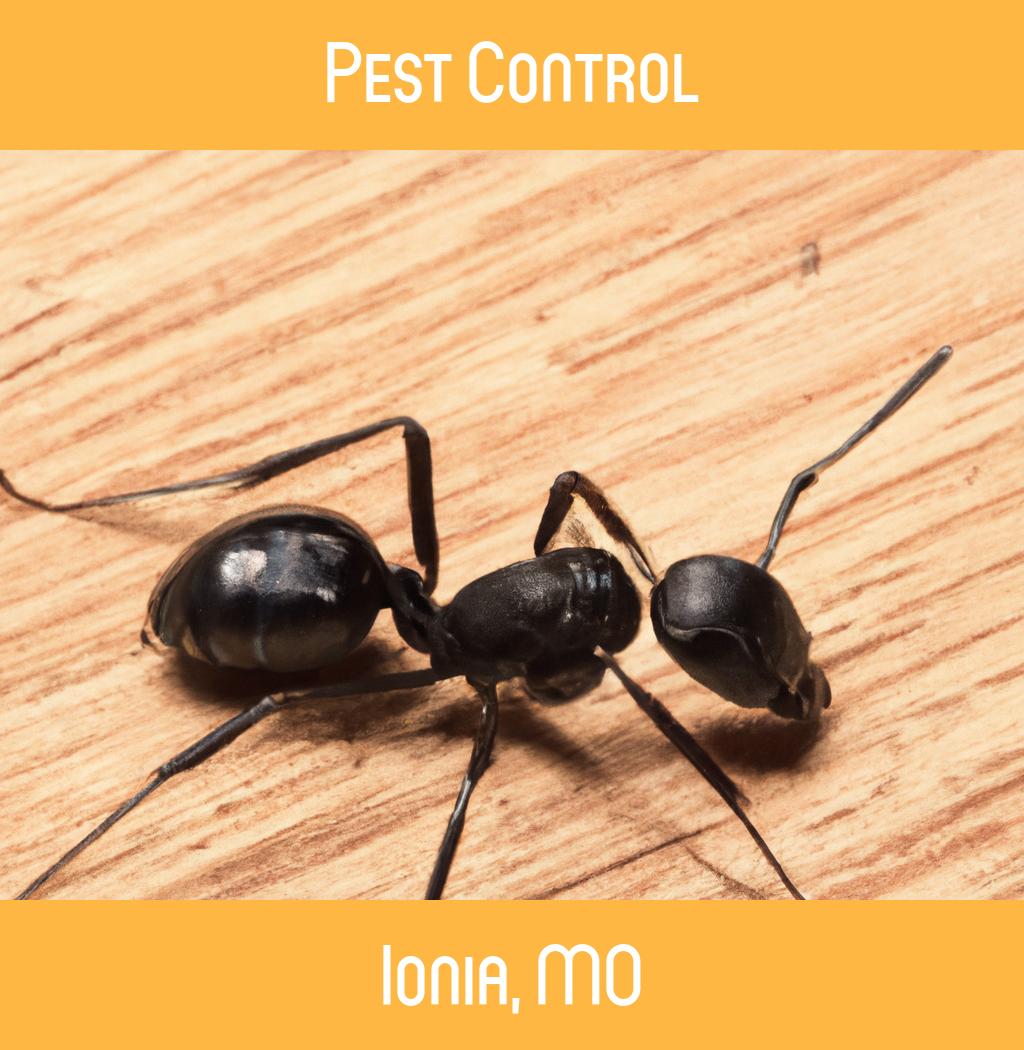 pest control in Ionia Missouri