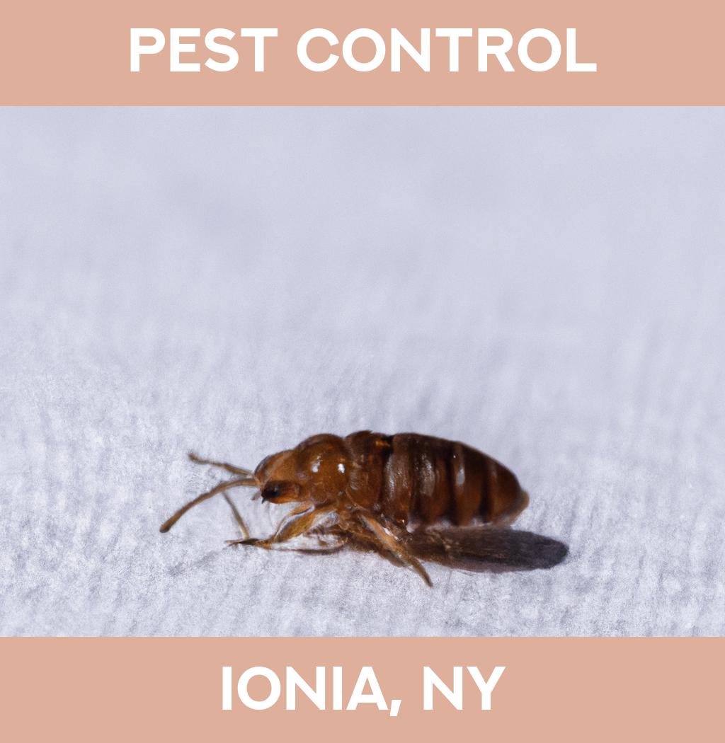 pest control in Ionia New York