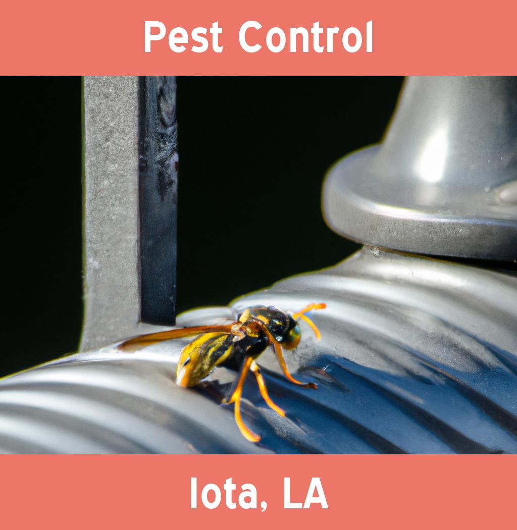 pest control in Iota Louisiana