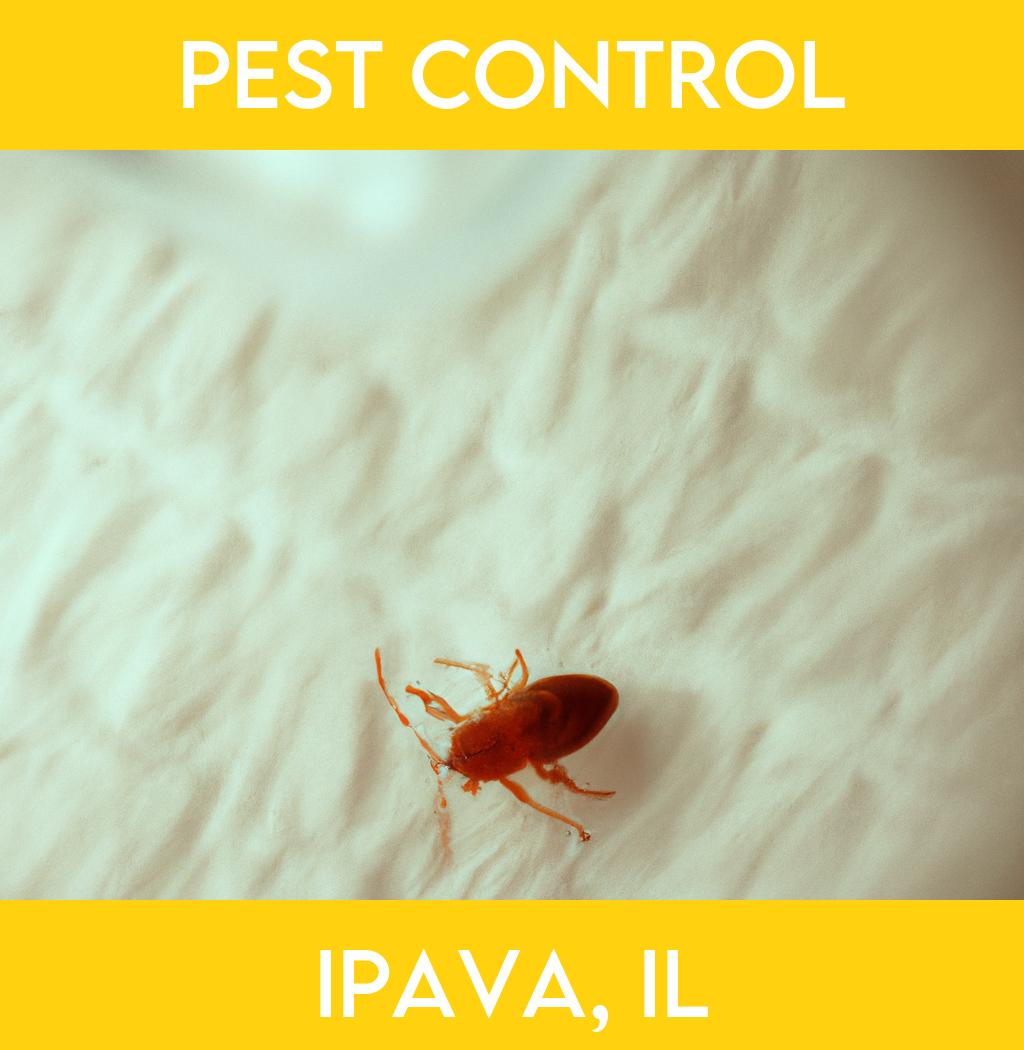 pest control in Ipava Illinois