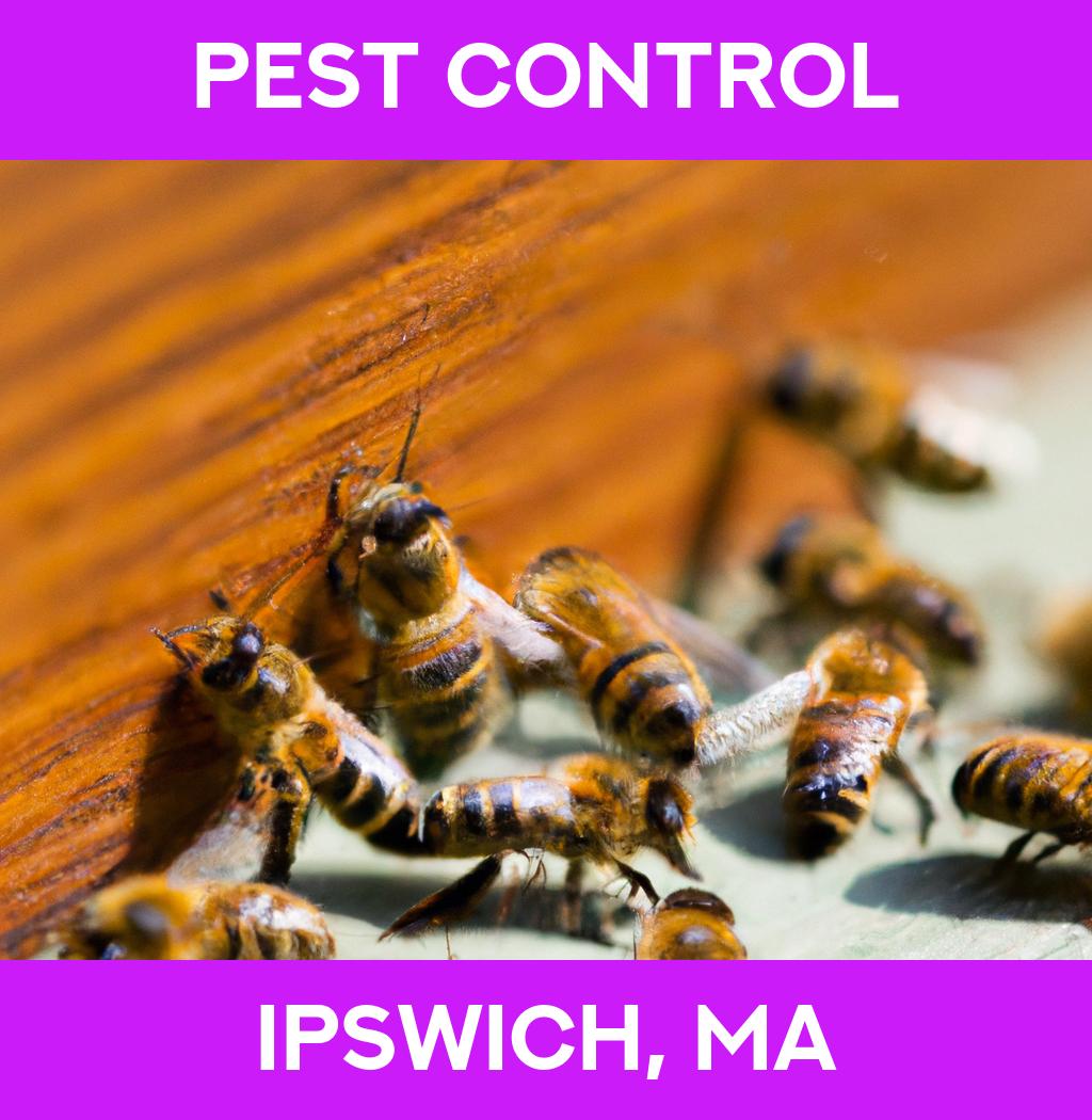 pest control in Ipswich Massachusetts