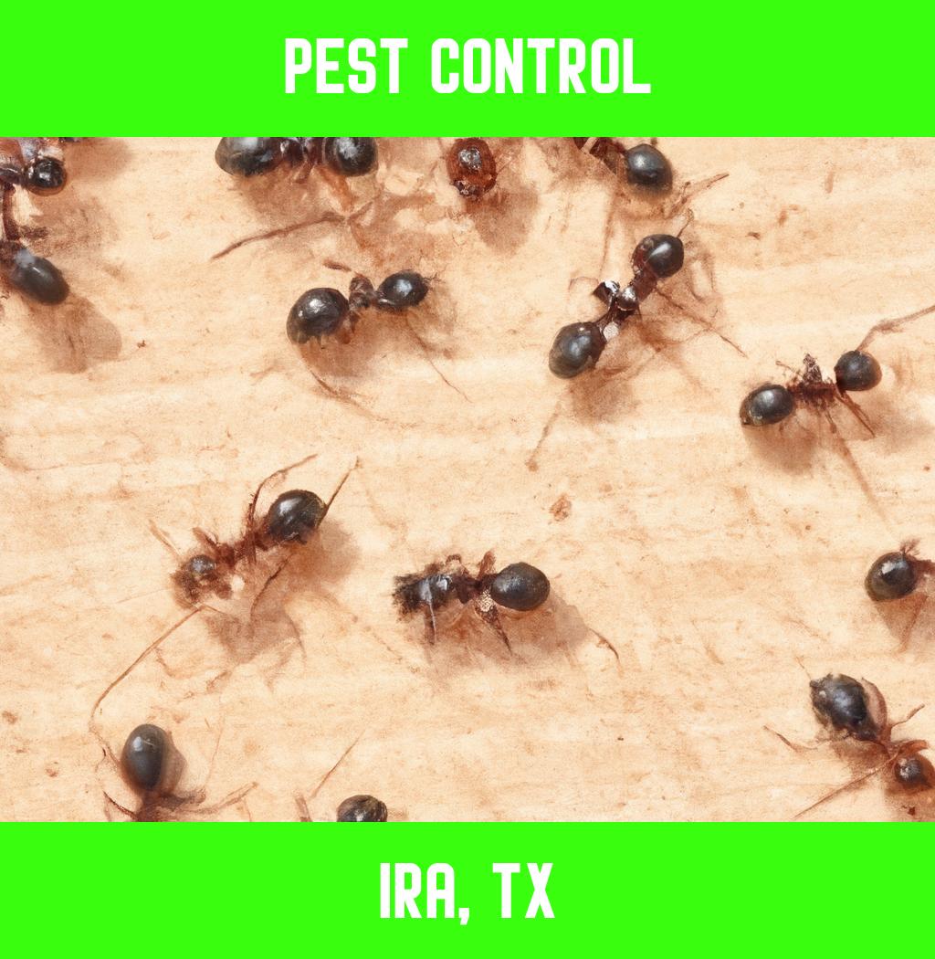 pest control in Ira Texas