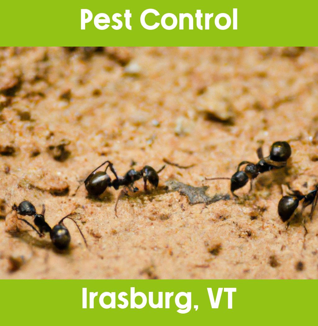 pest control in Irasburg Vermont