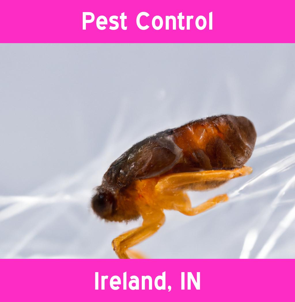 pest control in Ireland Indiana