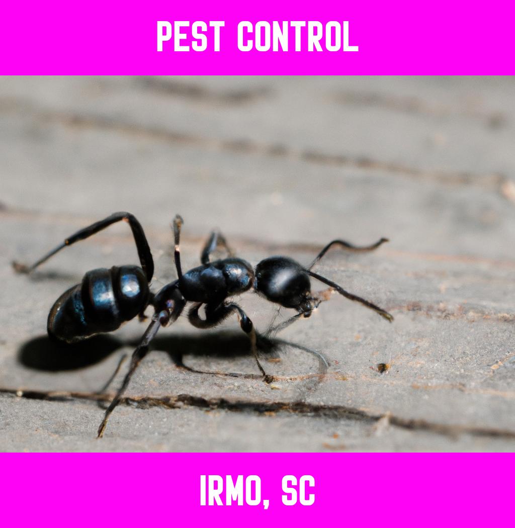 pest control in Irmo South Carolina
