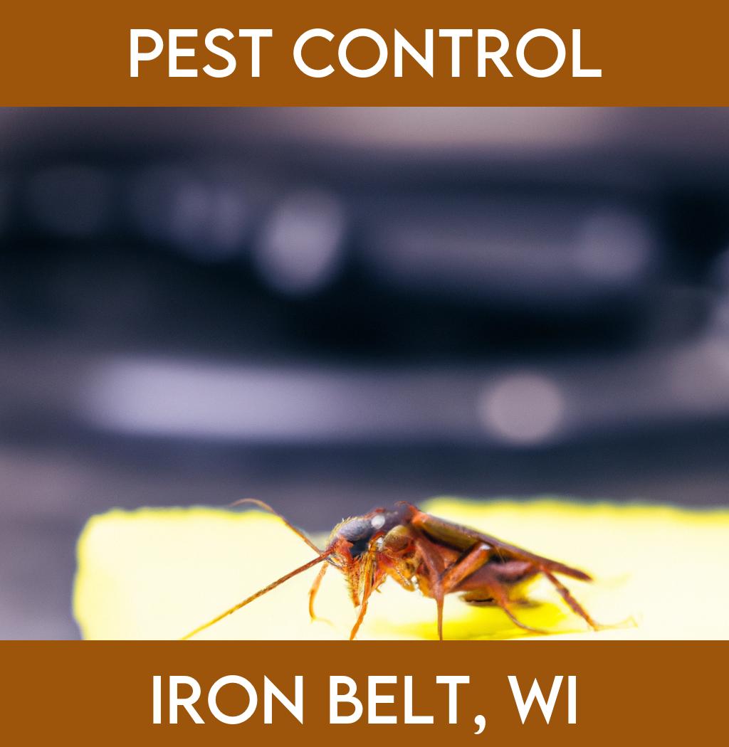 pest control in Iron Belt Wisconsin