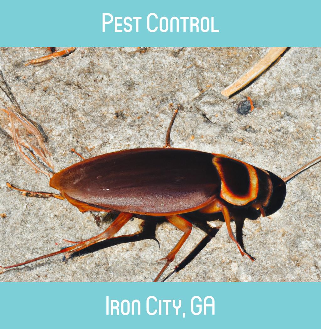 pest control in Iron City Georgia