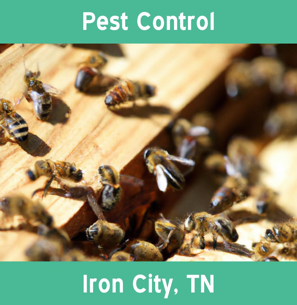 pest control in Iron City Tennessee