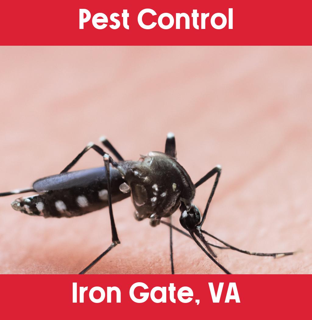 pest control in Iron Gate Virginia