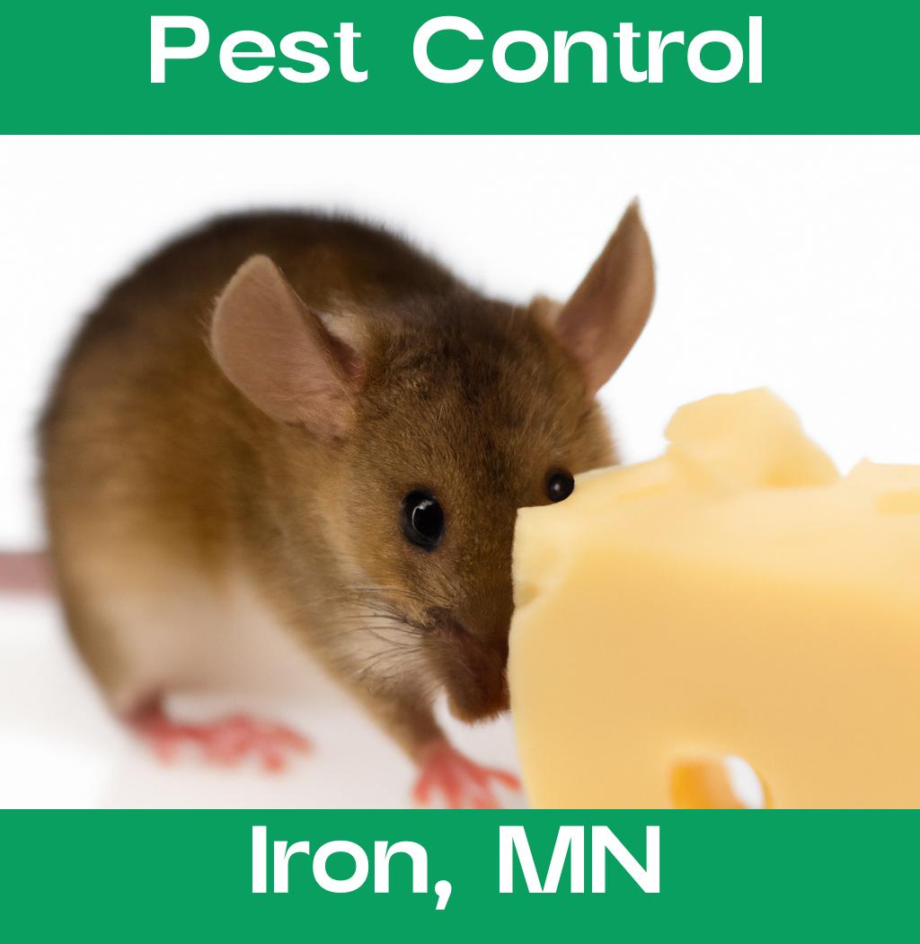 pest control in Iron Minnesota