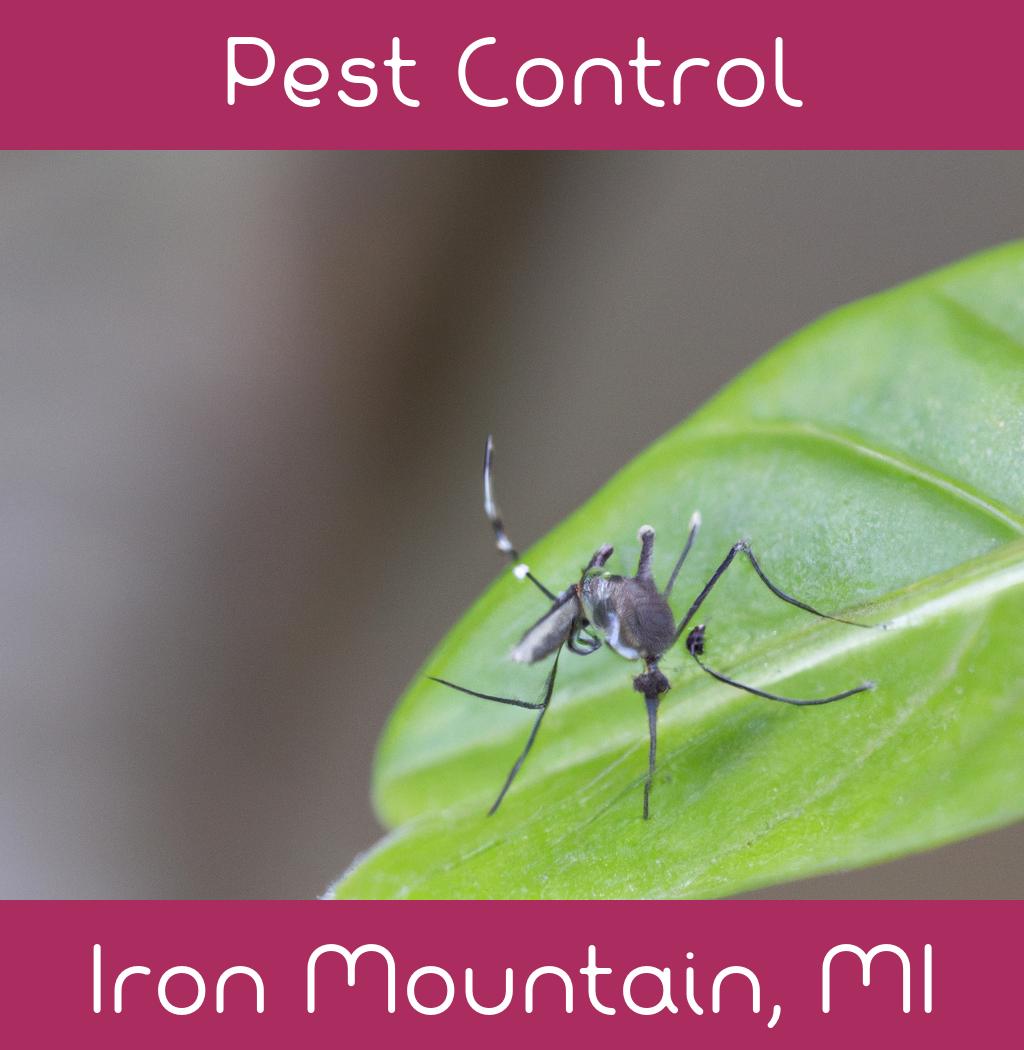 pest control in Iron Mountain Michigan
