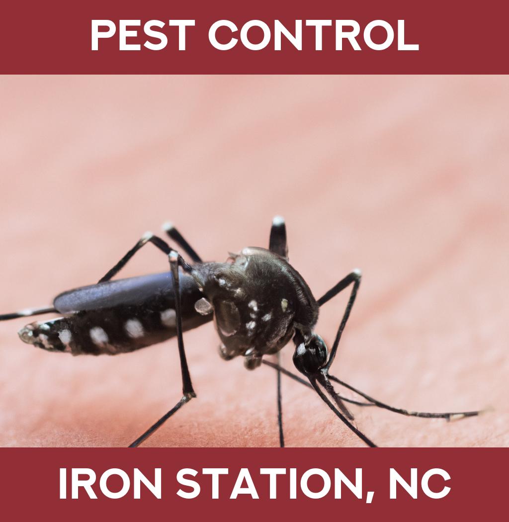 pest control in Iron Station North Carolina