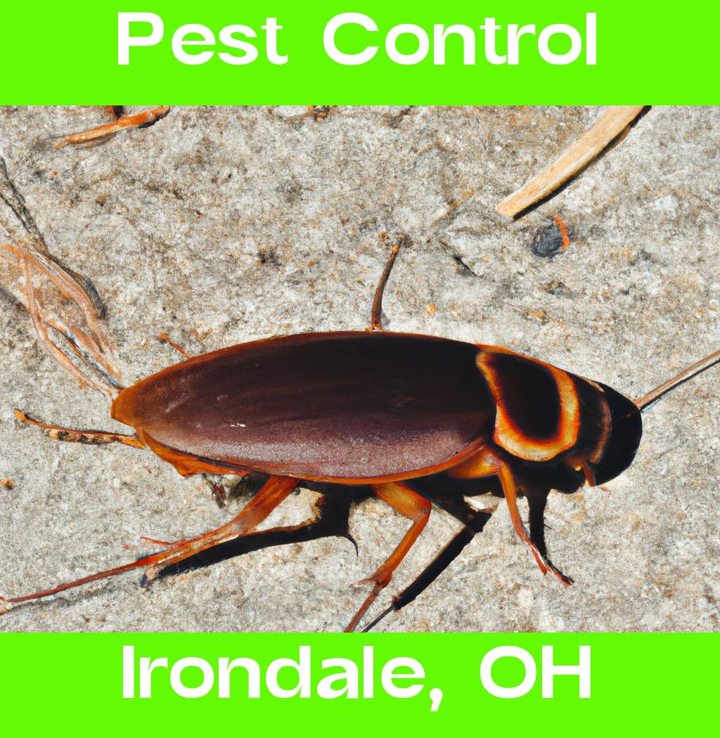 pest control in Irondale Ohio