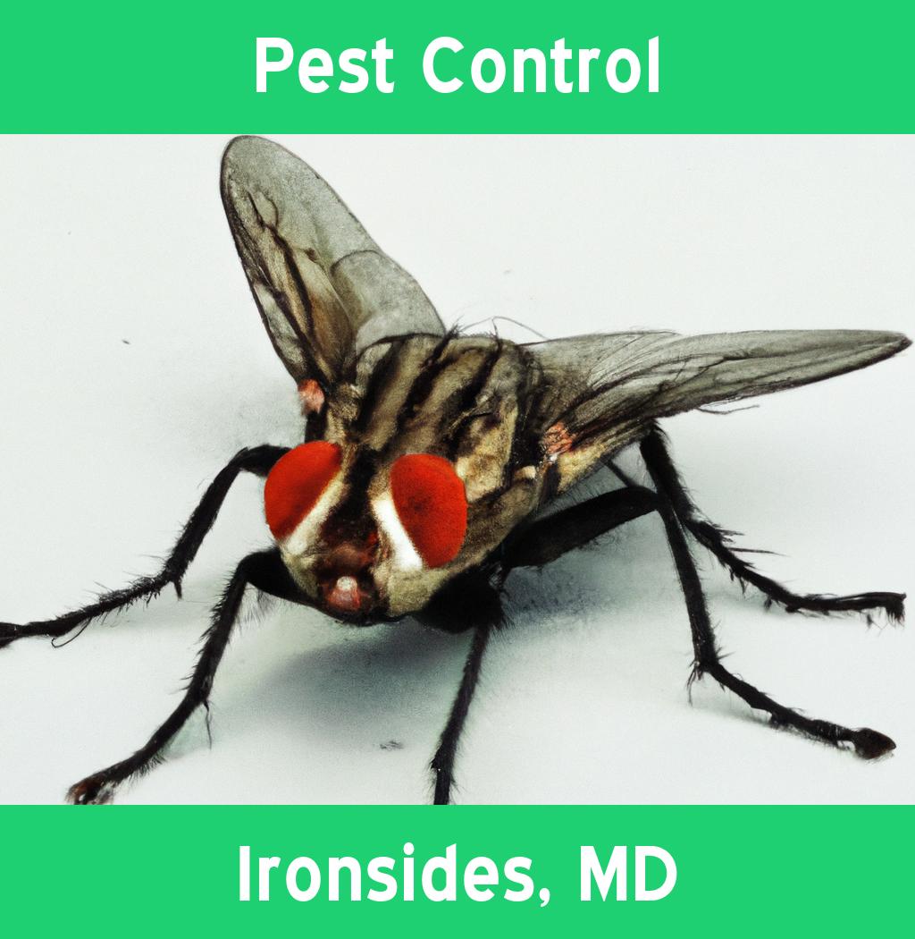 pest control in Ironsides Maryland