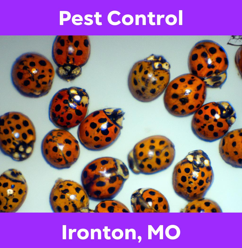 pest control in Ironton Missouri