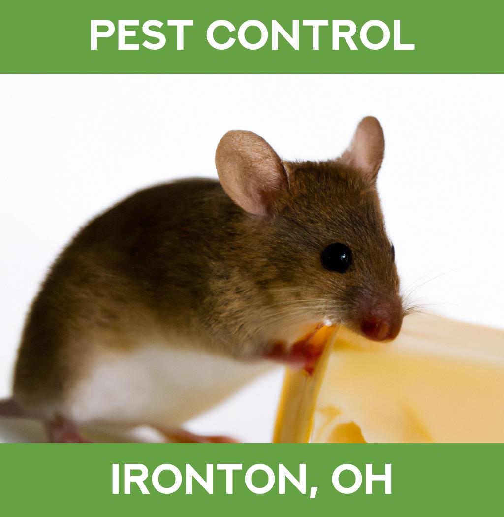 pest control in Ironton Ohio