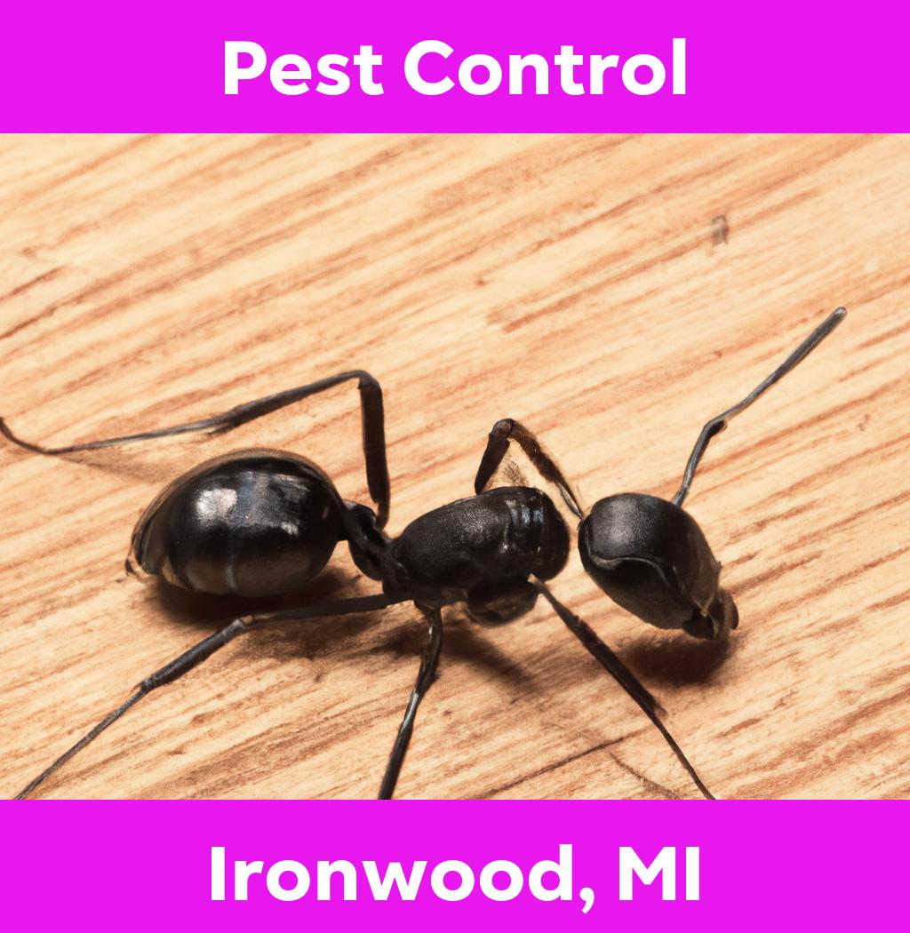 pest control in Ironwood Michigan