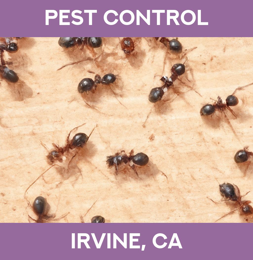 pest control in Irvine California