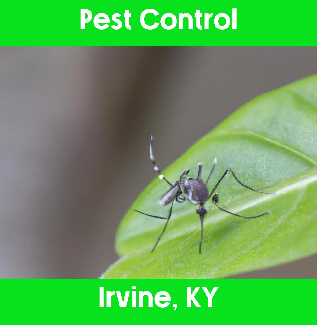 pest control in Irvine Kentucky